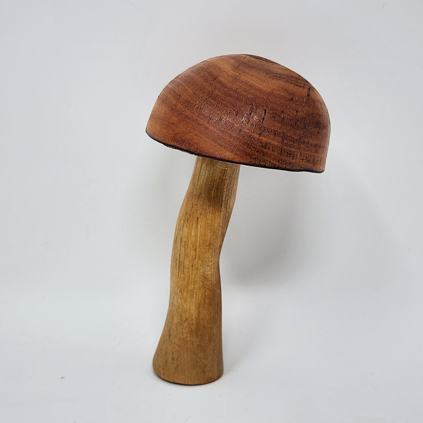 Magnetic Wood Mushrooms