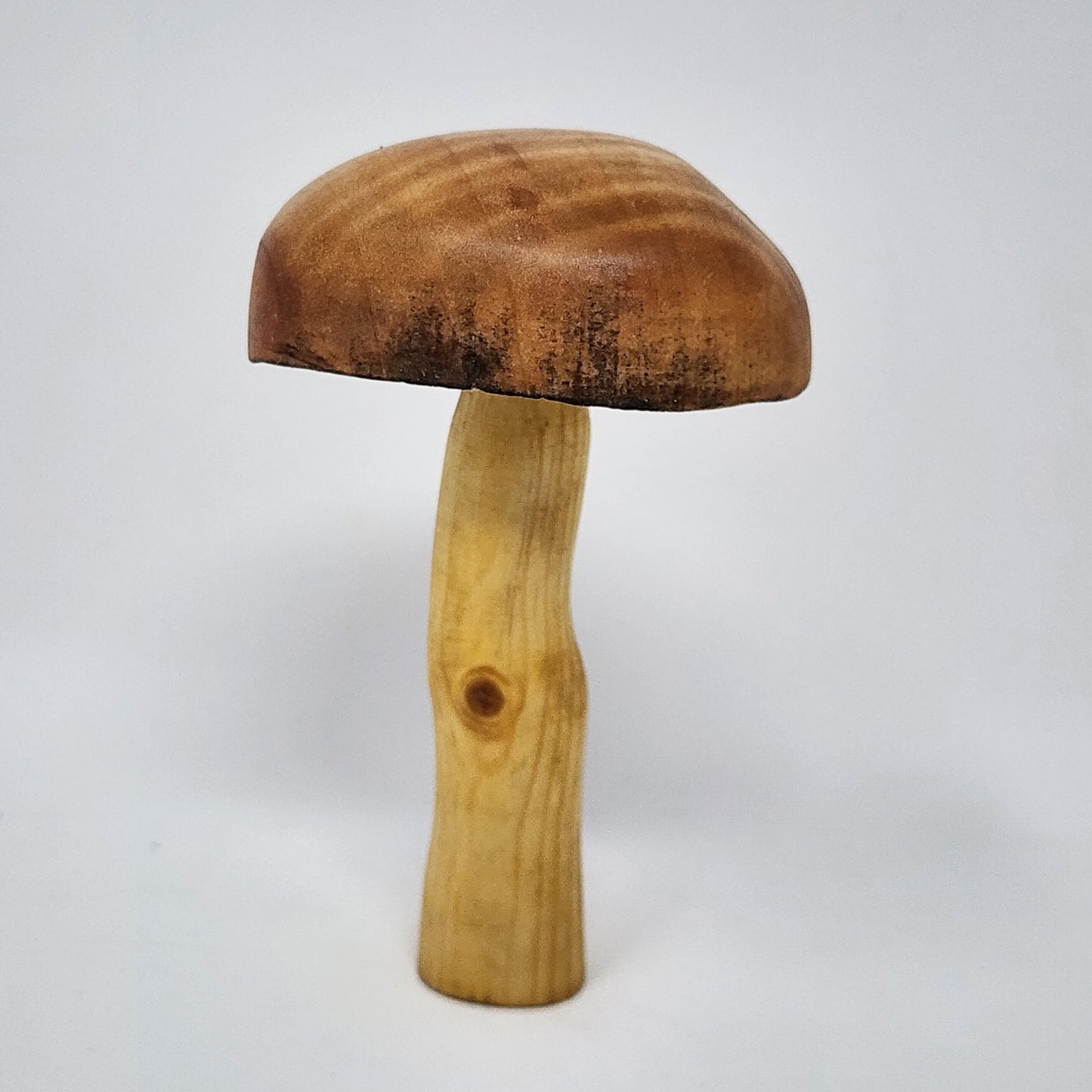 Magnetic Wood Mushrooms