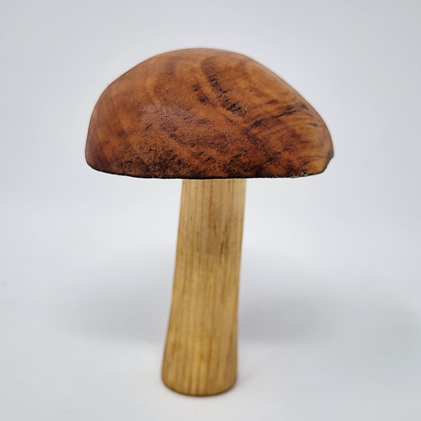 Magnetic Wood Mushrooms