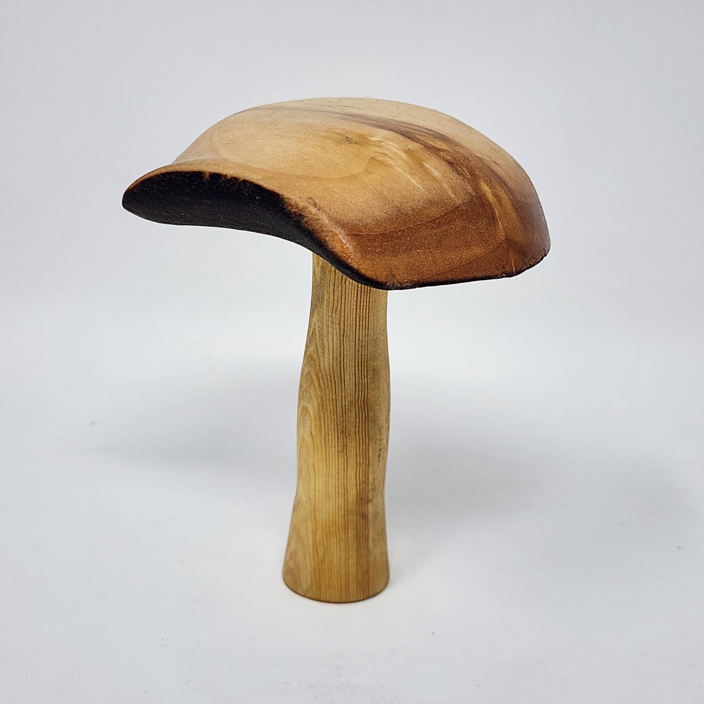 Magnetic Wood Mushrooms