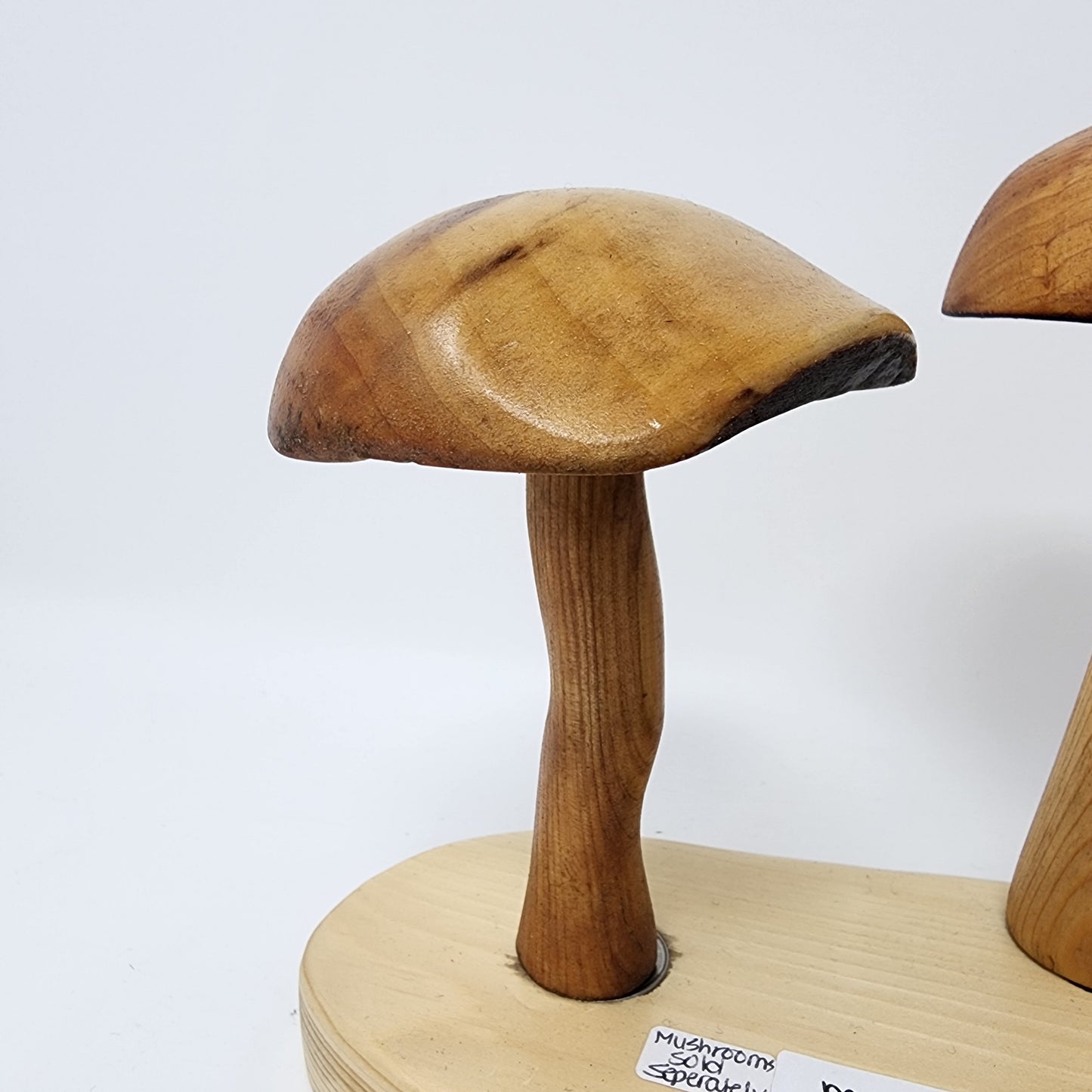 Magnetic Wood Mushrooms