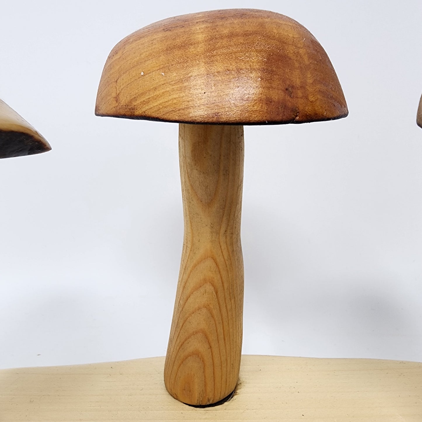 Magnetic Wood Mushrooms