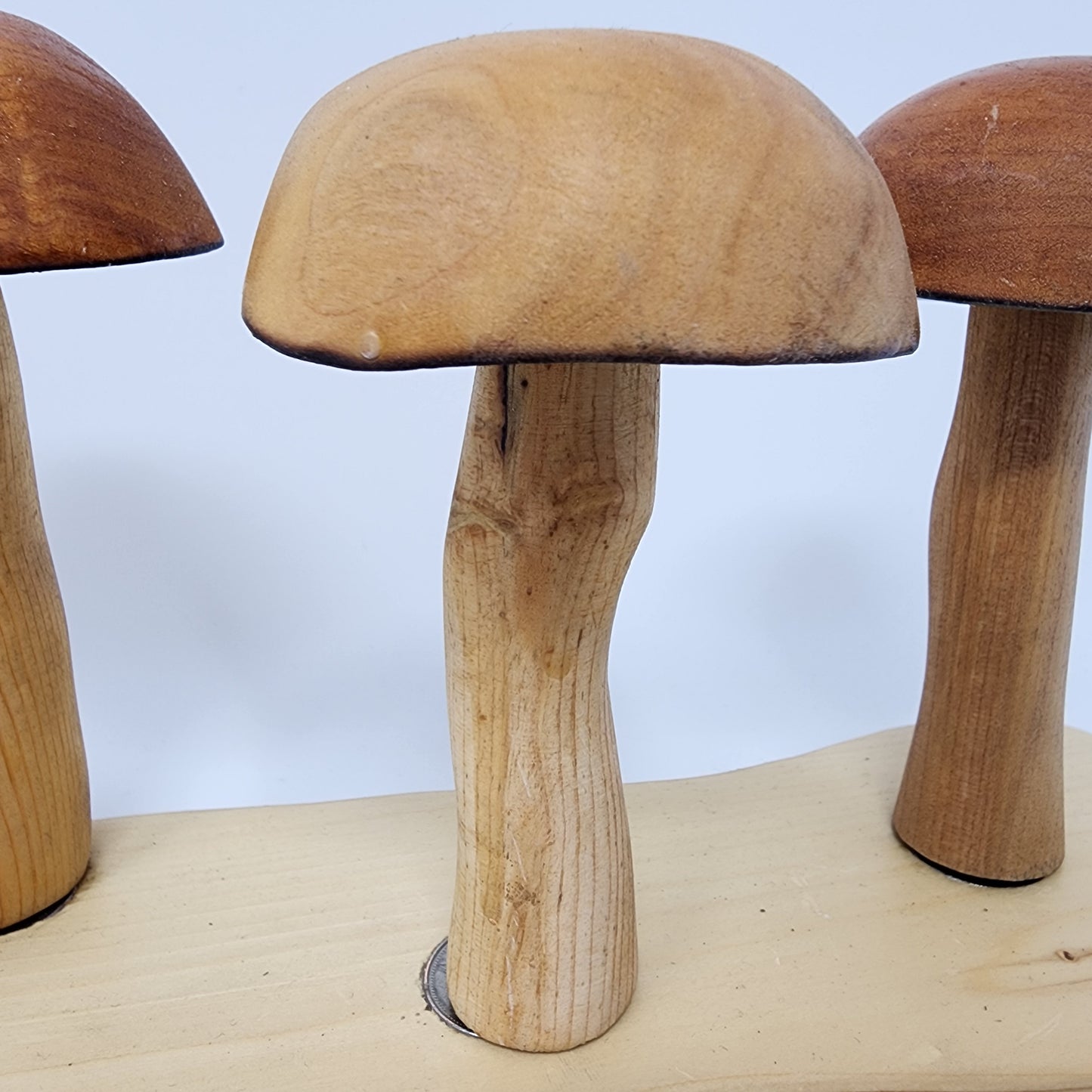 Magnetic Wood Mushrooms