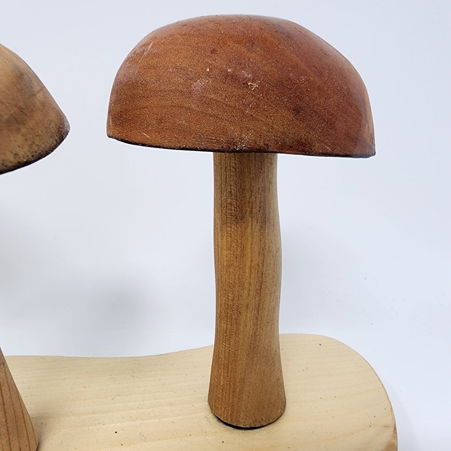 Magnetic Wood Mushrooms