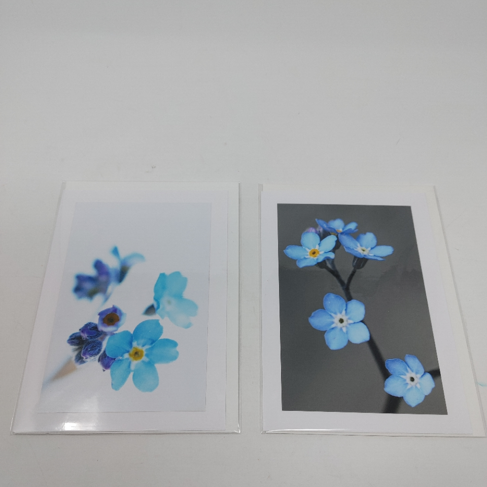 Blue Flowers - Cards of Frances Gobbi
