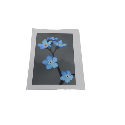 Blue Flowers - Cards of Frances Gobbi