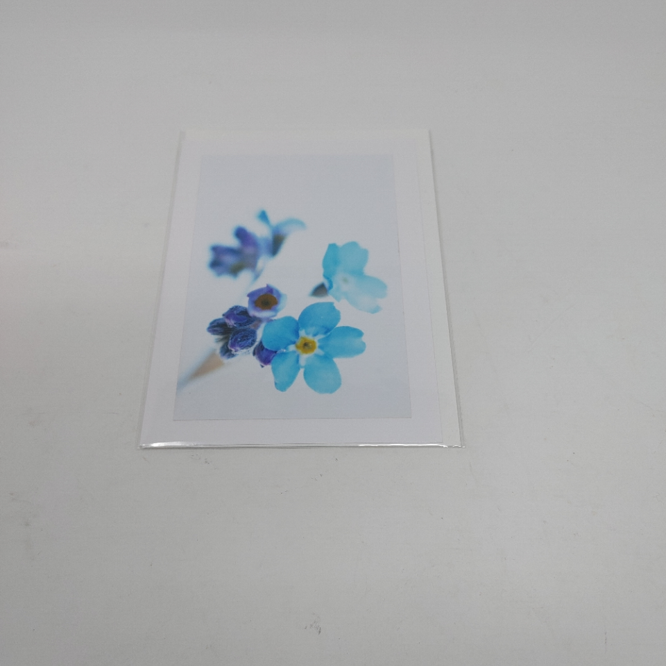 Blue Flowers - Cards of Frances Gobbi