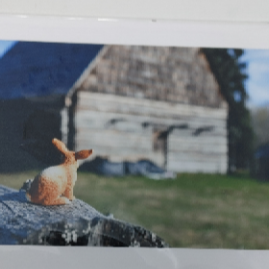 Toys -  Cards of Frances Gobbi