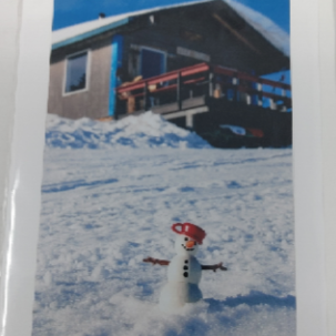 Toys -  Cards of Frances Gobbi