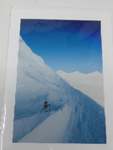 Toys -  Cards of Frances Gobbi