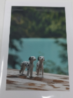 Toys -  Cards of Frances Gobbi