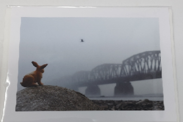 Toys -  Cards of Frances Gobbi