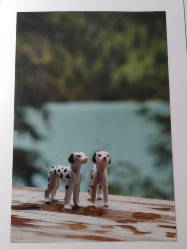 Toys -  Cards of Frances Gobbi