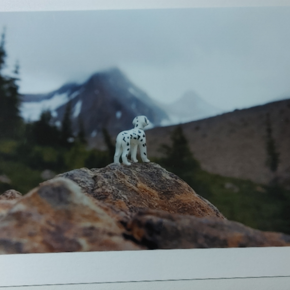 Toys -  Cards of Frances Gobbi