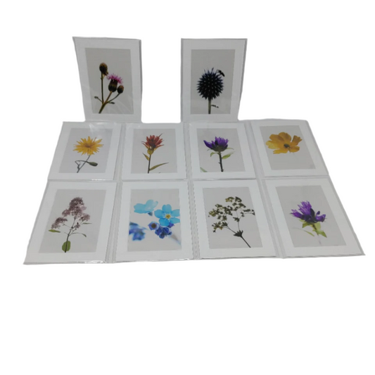 Flowers - Photo Cards