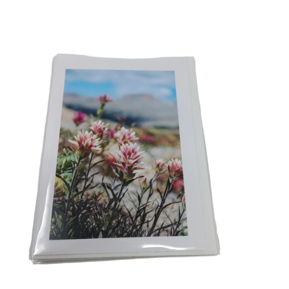 Pink Flowers - Photo Card of Frances Gobbi