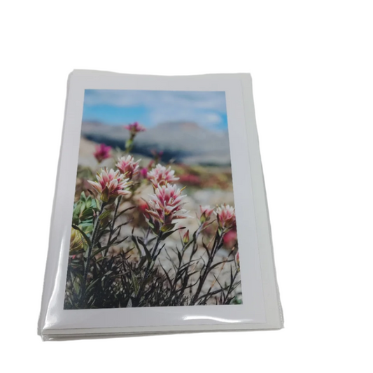 Pink Flowers - Photo Card of Frances Gobbi