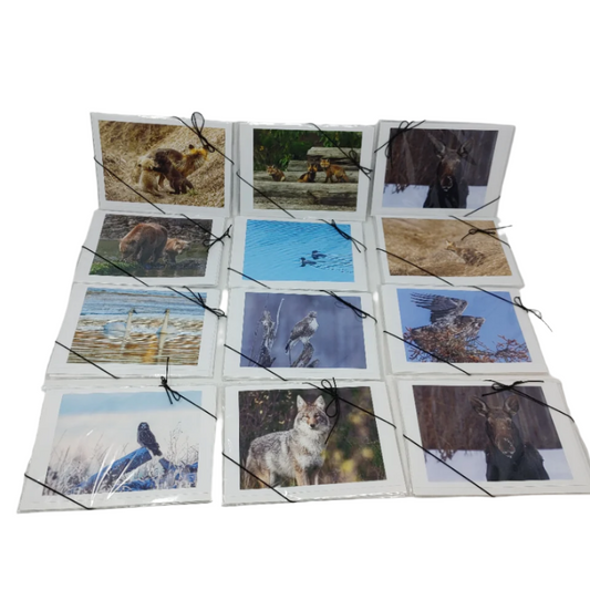 Set of Animal's Cards - Terrill Bodner