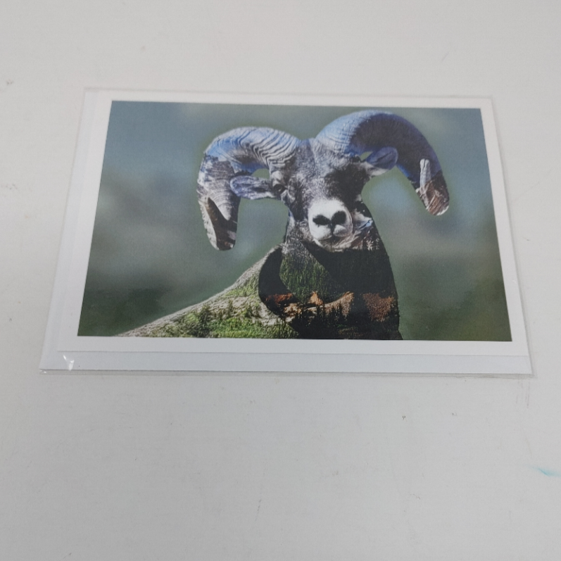 Michael's Cards