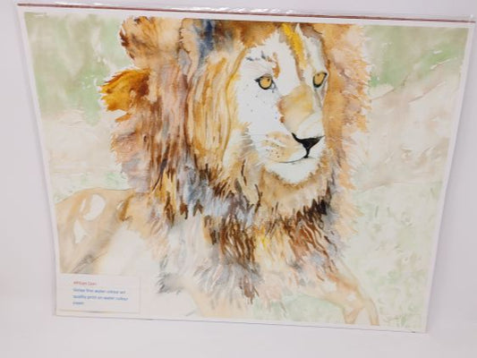 African Lion - watercolor painting