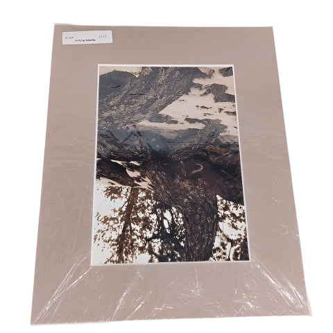 Matted Picture