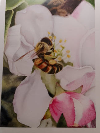 Apple Blossom Bee - Card