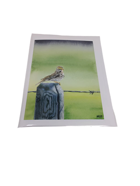 Savannah Sparrow - Card
