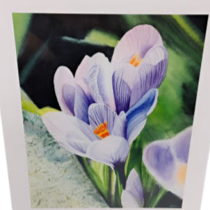 Spring Greetings - Print On Paper