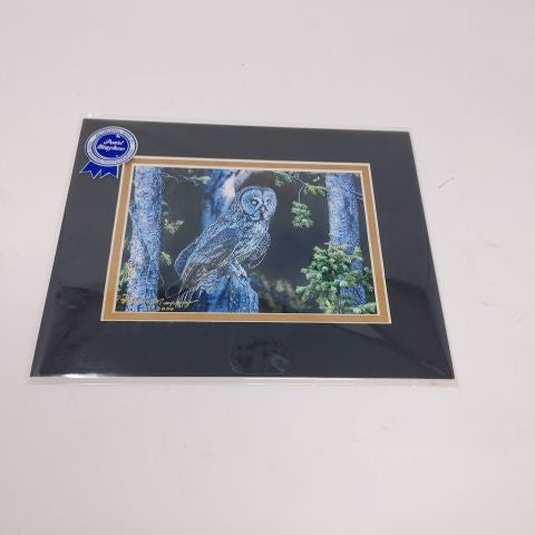 Night Hunter - Photo Print of Owl