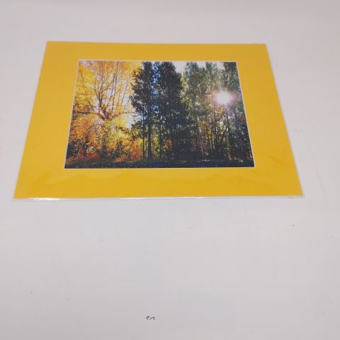Autumn 2- Photo Print