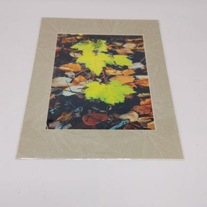 Autumn - Photo Print