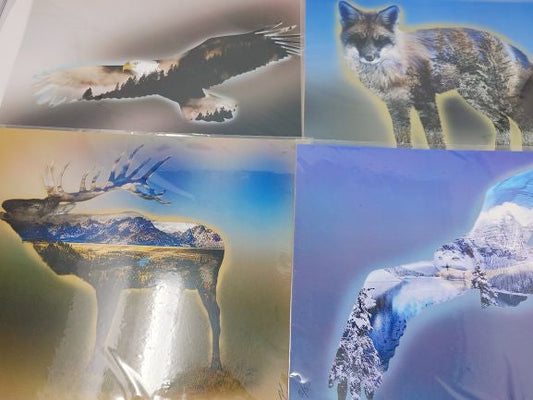 Animals Photography Prints