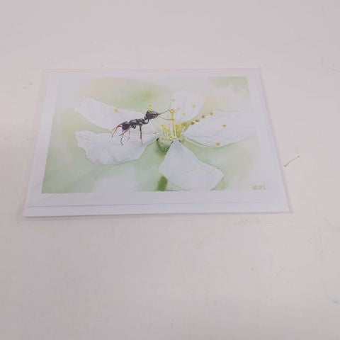 Cherry Blossom Gymnast - Card