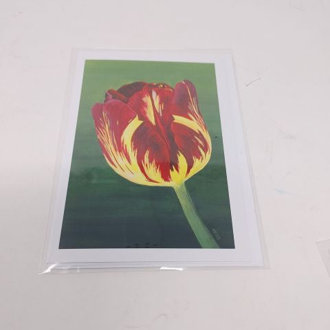 Verigated Tulip - Card