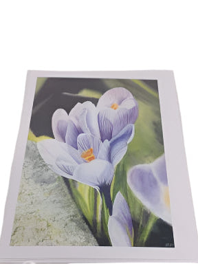 Spring Greetings - Card