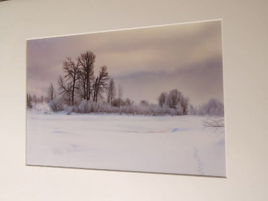 Footsteps in the Snow - Photo Print