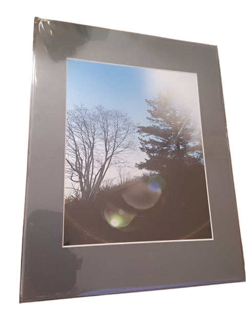 Autumn -  Photo Print (Copy)