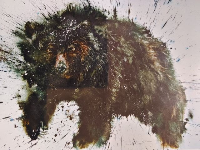 Flowers Cards - Print of Paintings