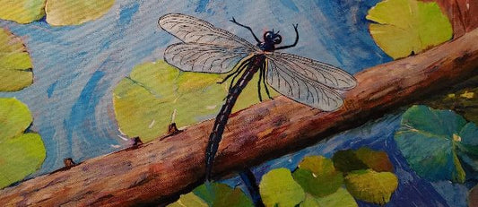 Lily Pad Serenade - Acrylic on Canvas