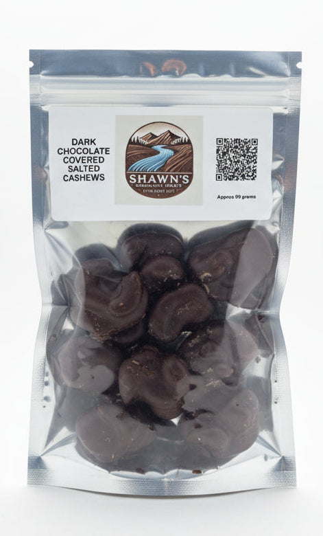 Dark Chocolate Covered Salted Cashews