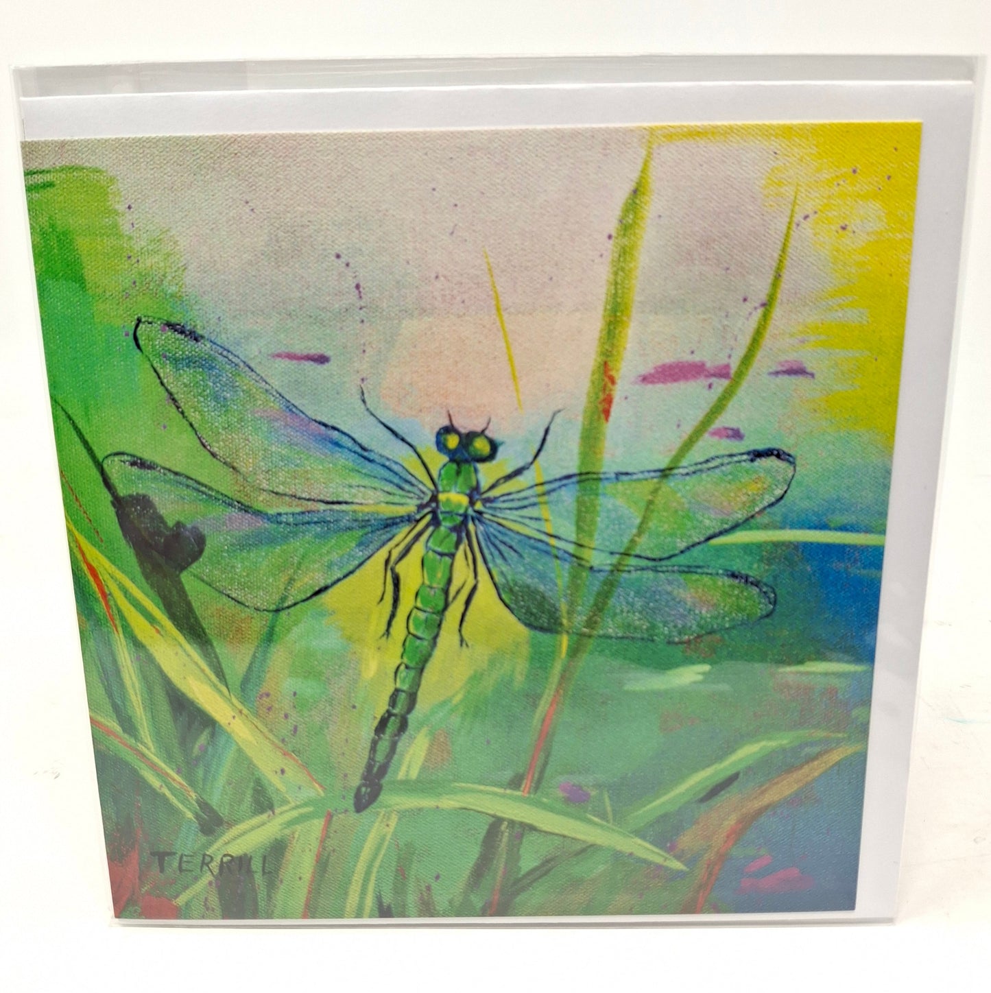 Art Cards - Dragonflies