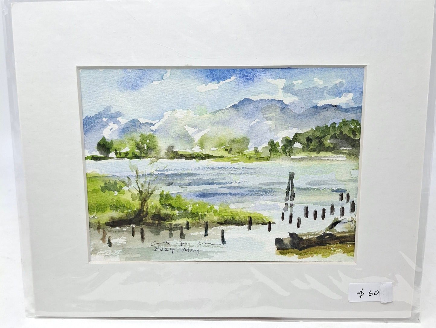 Various Watercolours