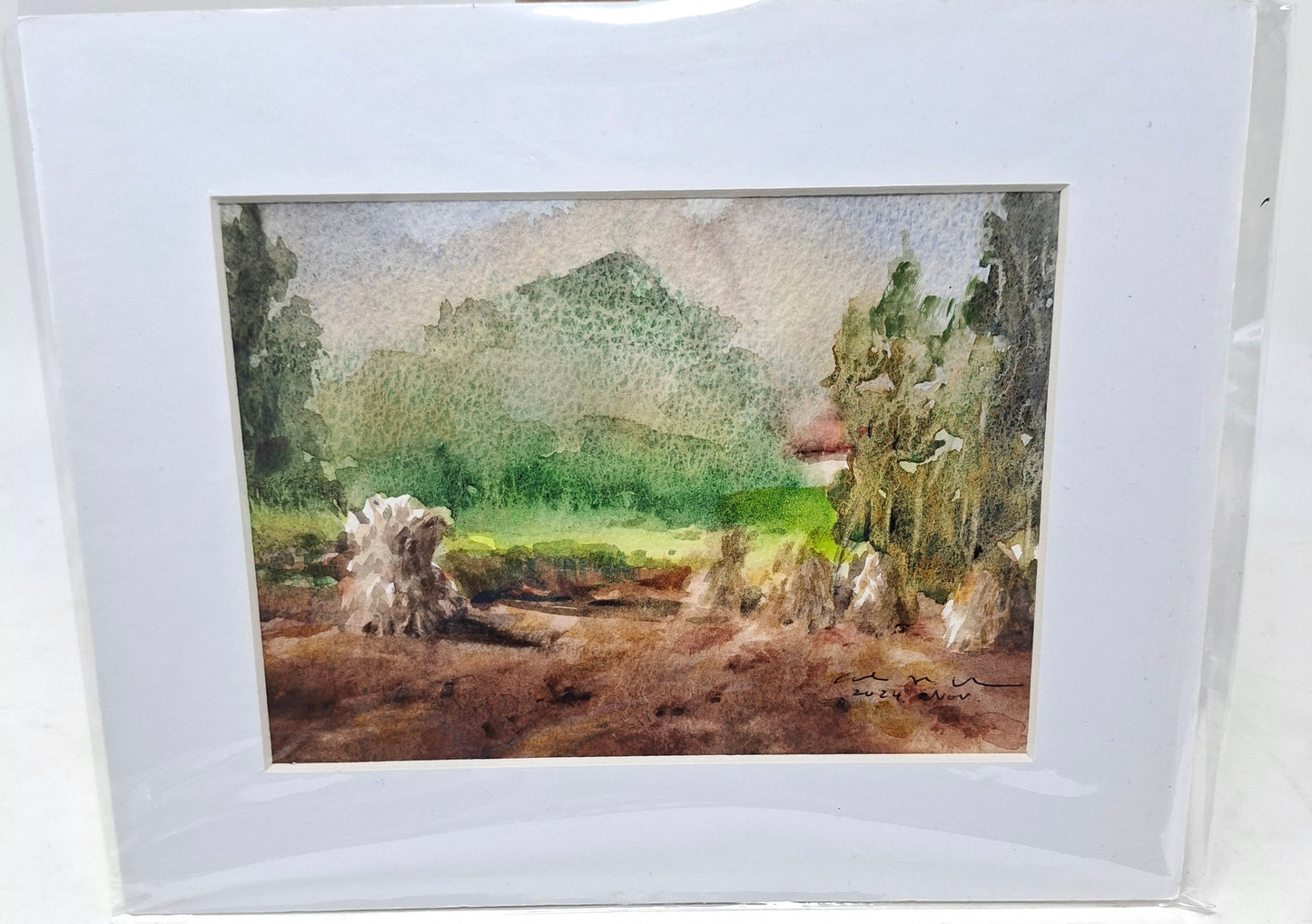 Various Watercolours