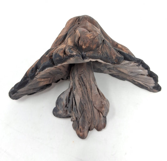 Mushroom Magnet