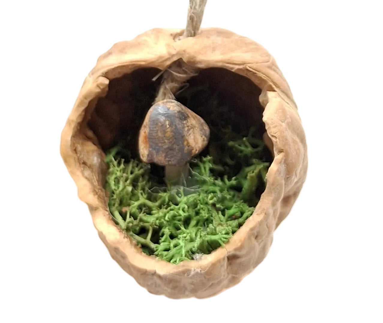 Hanging Walnut Ornaments with hidden mushrooms