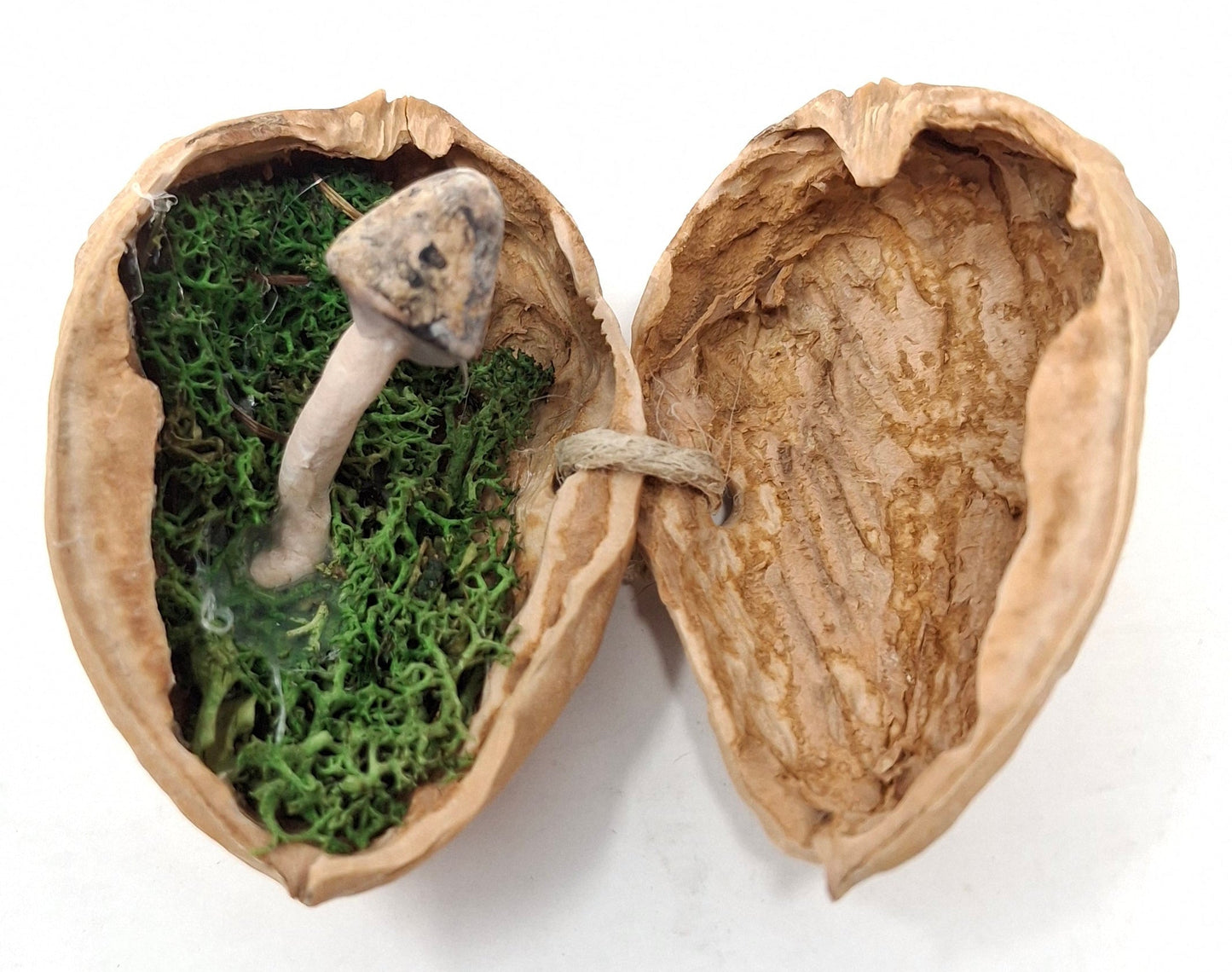 Walnut ornaments with hidden mushrooms