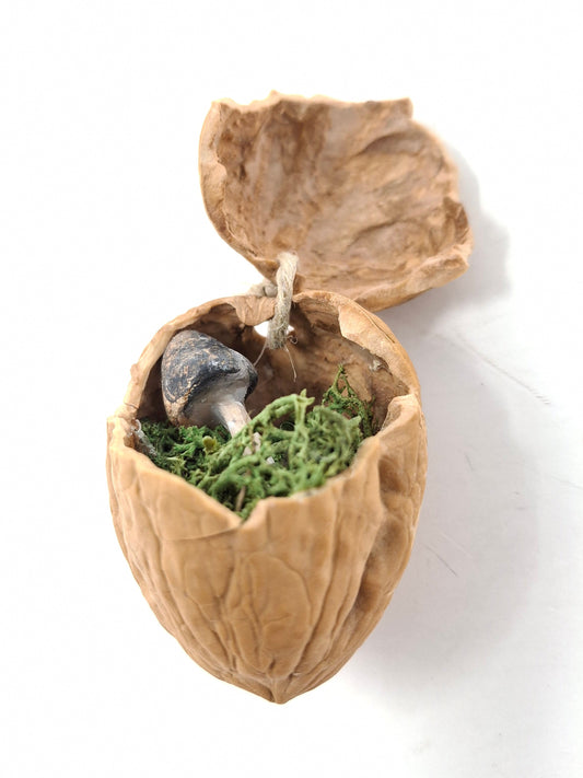 Walnut ornaments with hidden mushrooms