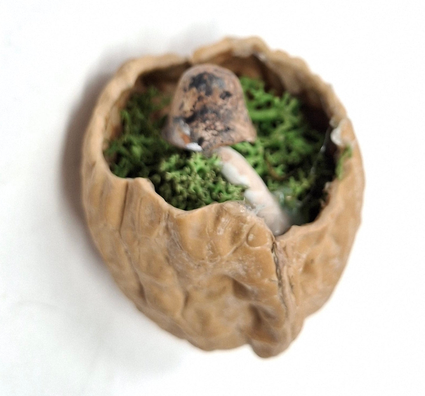 Walnut ornaments with hidden mushrooms