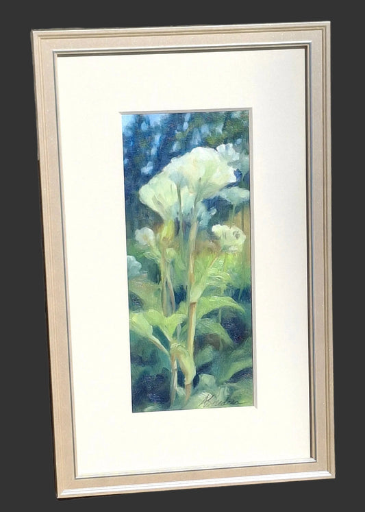 Cow Parsnip Study - Oil painting on linen