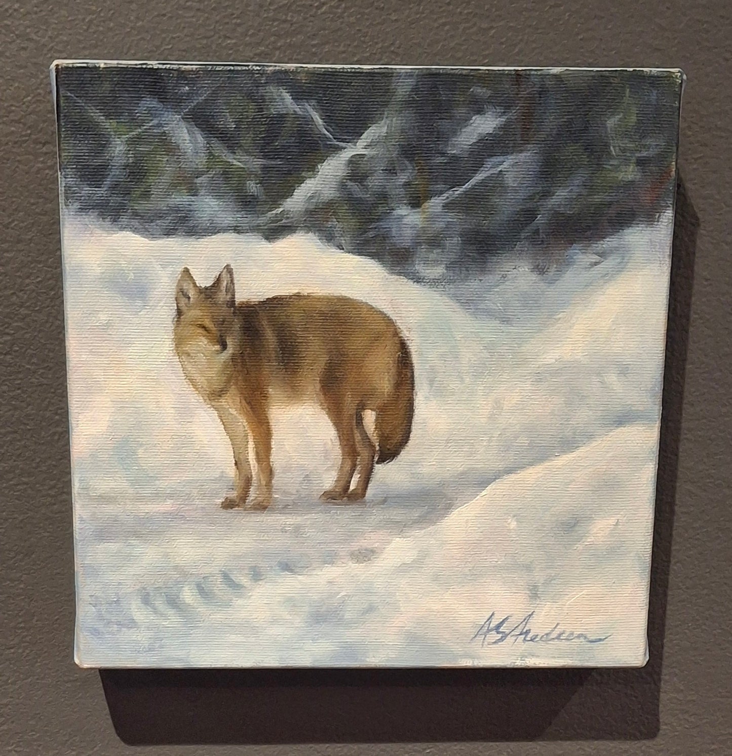 Checking out the trail - oil painting on wrapped canvas